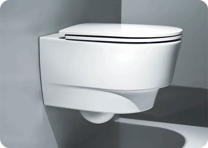 Toilettes wc séparatifs suspendus – pour chambre d’injection patient iradiés, Medical Process