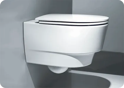 Toilettes wc séparatifs suspendus – pour chambre d’injection patient iradiés